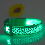 Safety Glowing Pet Collar With LED By Project Pet Lovers Club