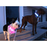 Safety Glowing Pet Collar With LED By Project Pet Lovers Club