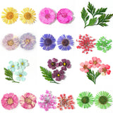 3D Dried Flower Theme | Nail Art Decals